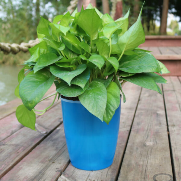 Strongwell Nordic Hydroponics Flower Pot Fairy Garden - Image 2
